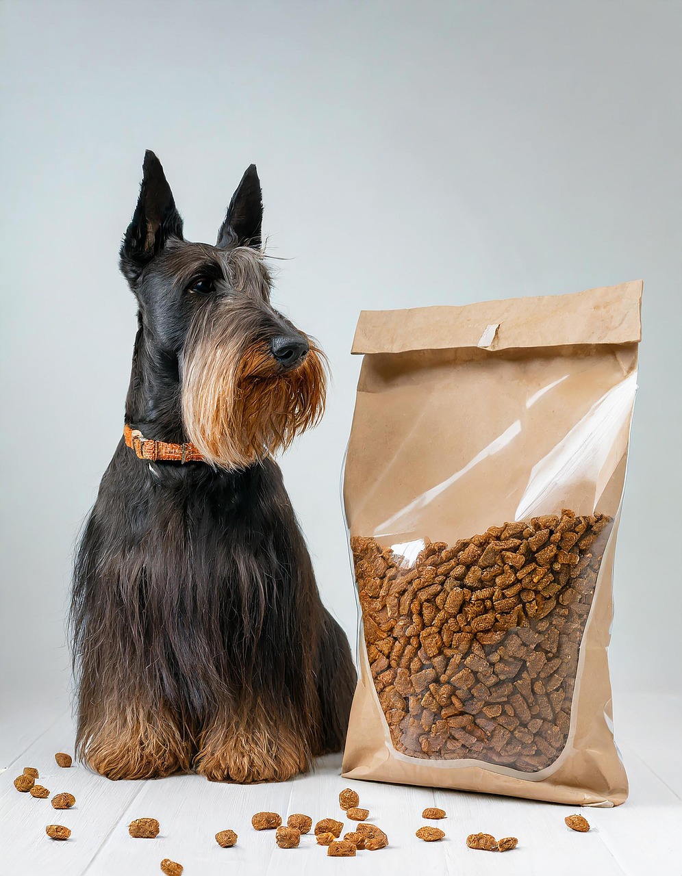 L’importanza di imparare a leggere le “etichette”